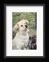 Don't Forget Me Framed Print