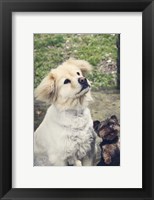 Don't Forget Me Framed Print