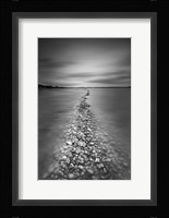 Exudos Fine Art Print