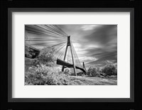 First Link Fine Art Print