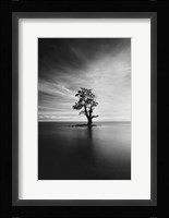 Light Catcher Fine Art Print