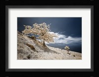 Mother and Child Fine Art Print