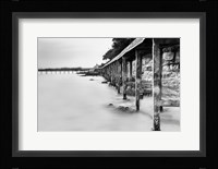 Newel Fine Art Print