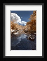 Unflappable Fine Art Print
