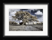 San Gabriel Fine Art Print