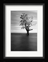 Solitude Fine Art Print