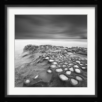 Celulas Bn Fine Art Print