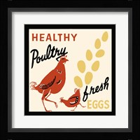 Healthy Poultry-Fresh Eggs Fine Art Print