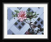 White Lattice Fine Art Print