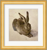 Young Hare, c.1502 Fine Art Print