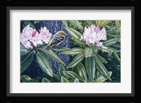 Scarlet Tanager In The Rhodos Fine Art Print