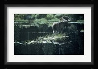 Summer Pond Fine Art Print