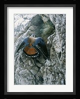 Rocky Perch Fine Art Print