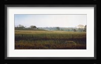 Autumn Fields - Red Fox Fine Art Print