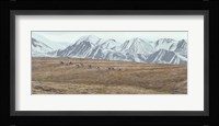Northern Skyline - Caribou Fine Art Print