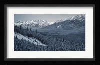 Winter Valley- Elk Fine Art Print
