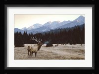 Autumn Meadow Fine Art Print