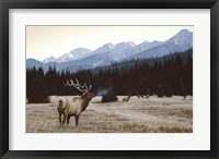 Autumn Meadow Fine Art Print