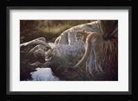 Creekside Cougar Fine Art Print
