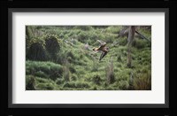 Spring Flight Fine Art Print