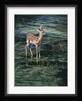 Ponds Edge Fine Art Print