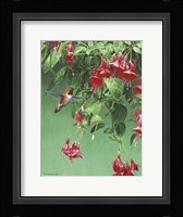 The Hanging Basket Fine Art Print