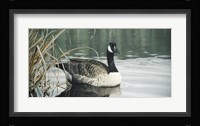 Tranquil Water Fine Art Print