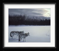 When Paths Cross Fine Art Print