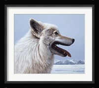 Arctic Wolf Portrait Fine Art Print