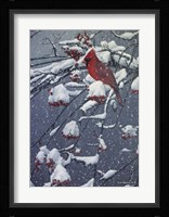Mountain Ash Fine Art Print