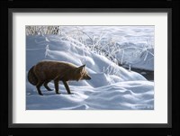 Winter Stalk Fine Art Print