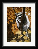 Up A Tree Fine Art Print