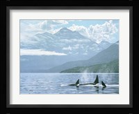 Inside Passage Fine Art Print