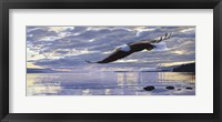 Dawn Flight Framed Print