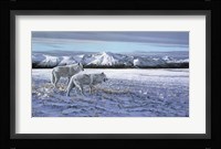 First Snow - Arctic Wolves Fine Art Print
