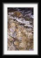 On The Edge Fine Art Print