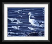 Snowy Egret Fine Art Print