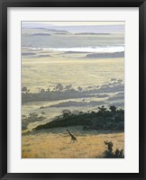 Morning On The Mara Framed Print