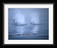 Lifting Fog Fine Art Print