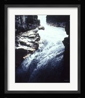 Dipper Fine Art Print