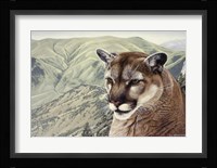 High Country Fine Art Print