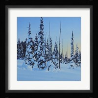 Snowy Forest Fine Art Print