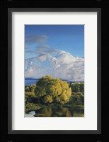 Springtime Fine Art Print