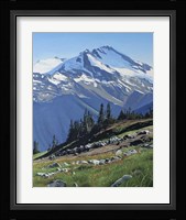 Summer Mountain Fine Art Print