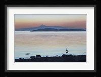 Tranquil Dawn Fine Art Print