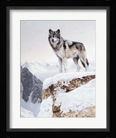 Snow Bound Fine Art Print