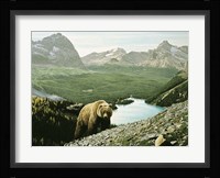 Lake O'Hara Fine Art Print