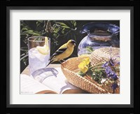 Goldfinch On Straw Hat Fine Art Print