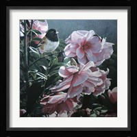 Junco And Camelia Fine Art Print