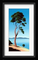 Island Arbutus Fine Art Print